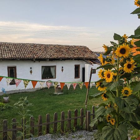 Serendipity Cottage Palamartsa Palamarza Bagian luar foto