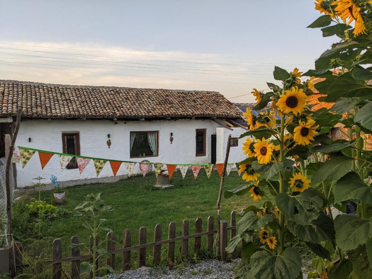 Serendipity Cottage Palamartsa Palamarza Bagian luar foto